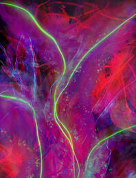 Zygotes Severed